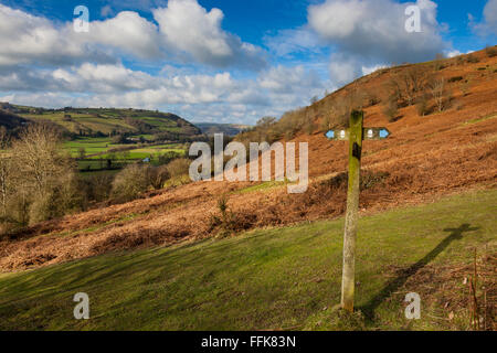 Offa's Dike il sentiero pedonale che si affaccia sulla valle teme, come si inerpica Panpunton Hill, nello Shropshire, nei pressi di Knighton, Powys, Wales, Regno Unito Foto Stock