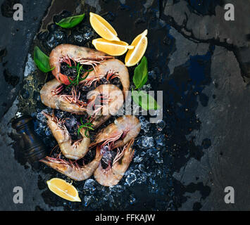 Fresco gamberi crudi con limone, le erbe aromatiche e le spezie sul ghiaccio scheggiata su ardesia scura sullo sfondo di pietra, vista dall'alto, spazio di copia Foto Stock