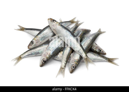 Crudo fresco di sardine su sfondo bianco Foto Stock