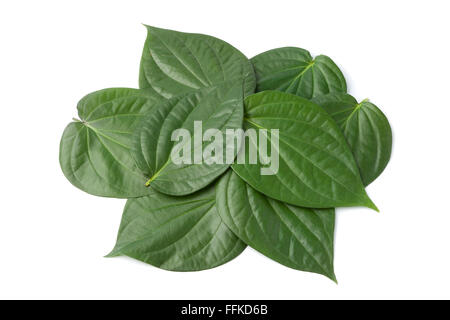Fresh Piper betle foglie su sfondo bianco Foto Stock