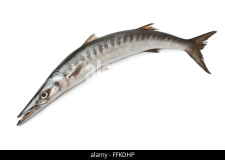 Tutto il singolo Barracuda fresco pesce su sfondo bianco Foto Stock