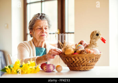 Senior donna disponendo il cestello con le uova di Pasqua e narcisi Foto Stock