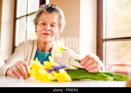 Senior donna dalla finestra disponendo mazzo di narcisi Foto Stock