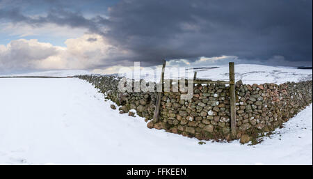 Un secco muro di pietra in un ampia aperta riempita di neve sul campo una tempesta del giorno nel cuore di Northumberland, Ingram Valley Foto Stock