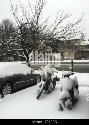 Annandale, VA, USAA. 15 Feb, 2016. La neve è ancora una volta la caduta attraverso Central Virginia Lunedì, 15 febbraio 2016. Molte scuole della zona sono già chiusi a causa delle vacanze; altri che erano aperte hanno cambiato i loro programmi. Il servizio meteorologico nazionale a Wakefield dice luce neve continuerà a scendere per un paio di ore quindi la transizione verso il nevischio e Pioggia gelata prima di girare in tutta la pioggia dal tardo pomeriggio di lunedì. © Probal Rashid/ZUMA filo/Alamy Live News Foto Stock