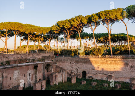 Il Colle Palatino, Roma, Italia nel sole del pomeriggio Foto Stock