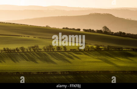 Sunrise visto da Bury Fossati hill fort, south Shropshire, Inghilterra, Regno Unito. Foto Stock