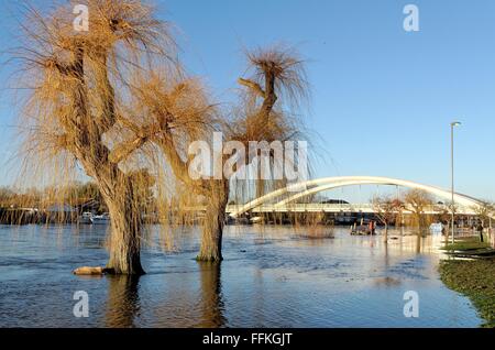 Le inondazioni del fiume Tamigi a ponte Walton Surrey Foto Stock