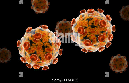 Immagine concettuale di Zika virus. Foto Stock