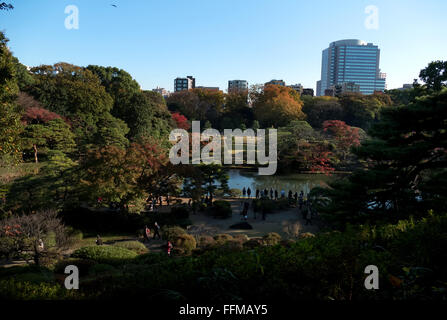 Giardino Rikugien, Tokyo, Giappone. City Park, giardini nella stagione autunnale, fogliame di autunno su alberi. La cultura giapponese, natura e paesaggio Foto Stock