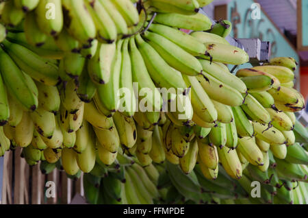 Le banane in vendita appeso al di fuori di un droghiere asiatici in Cabramatta, Sydney, Australia Foto Stock