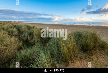 Le dune di sabbia di Greatstone-su-mare alla costa del Kent. Foto Stock