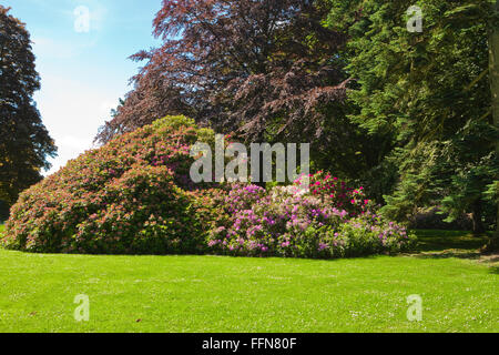 Aberdeen, Scozia, Regno Unito Foto Stock