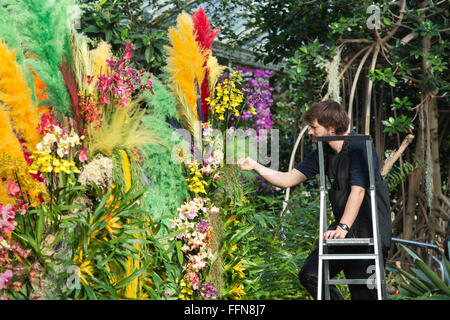 Kew giardiniere la rifilatura del orchid display interno i principi del Galles al Conservatorio botanico di Kew Gardens. Londra, Regno Unito Foto Stock
