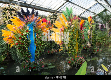 Orchid festival display interno i principi del Galles al Conservatorio botanico di Kew Gardens. Londra, Regno Unito Foto Stock