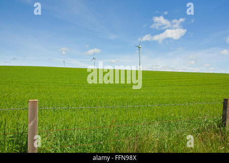 Aberdeen, Scozia, Regno Unito Foto Stock