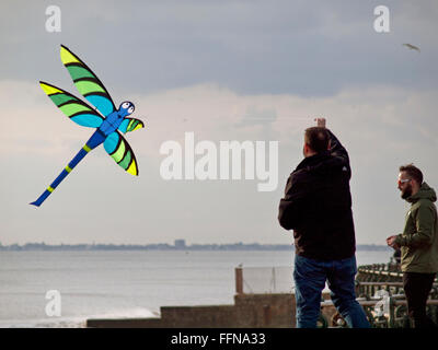 Volare una libellula themed kite sulla spiaggia di Brighton Foto Stock