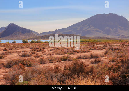 Oasi nel deserto - Deserto Colorato fogliame vicino ad un oasi nel deserto di Sonora del Messico settentrionale Foto Stock