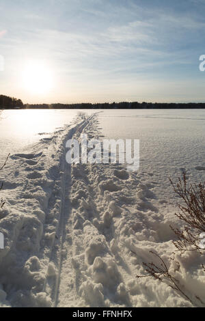 Piste da fondo sul Lago di Umea, Svezia Foto Stock