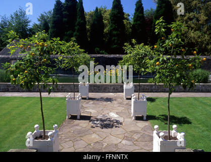 St Fagans Italiano Castello Giardino con alberi di limone e arancia National History Museum Cardiff South Wales UK Foto Stock