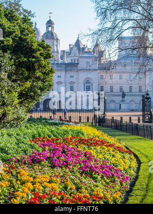 Fiori in un confine in inverno a Londra Foto Stock