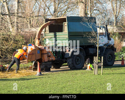 Triturazione di legno in un parco di Londra Foto Stock