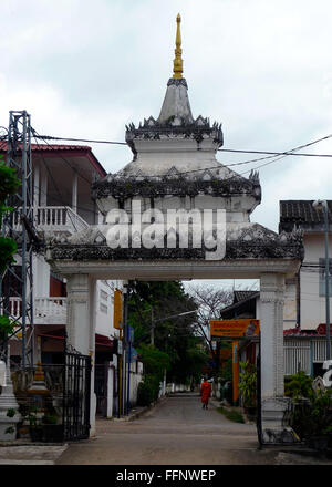 Monaco buddista di camminare per strada tradizionale in Laos Foto Stock