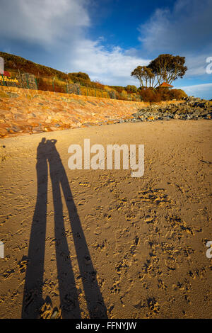 Lunga ombra di due persone in piedi sulla spiaggia con un cielo blu e albero in background Foto Stock