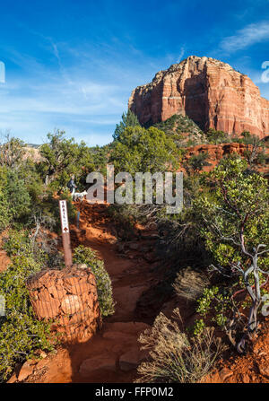 Escursionista e cane sulla campana Arrampicata trail, con Courthouse Butte di distanza Foto Stock