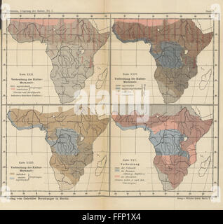 31 del 'Der Ursprung der Kultur. [Con illustrazioni e mappe.] Bd. 1' Foto Stock