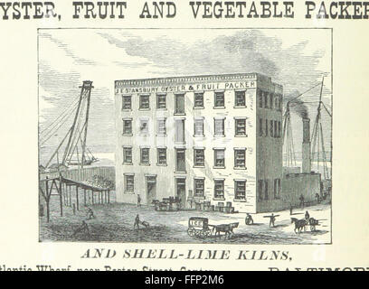Questo libro fornisce una panoramica storica e culturale di Baltimora, evidenziando la sua crescita, lo sviluppo e le risorse attuali, con un'attenzione particolare al significato storico della città. Foto Stock