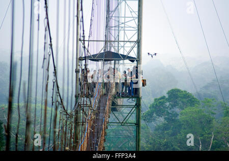 Tettoia sopra Amazzonia Foresta correva in Ecuador Foto Stock