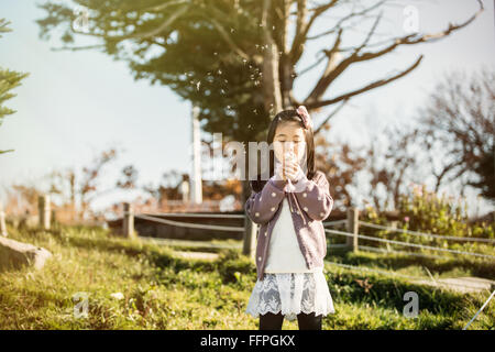 L'Asia, il bambino soffia un dente di leone in un parco. Foto Stock