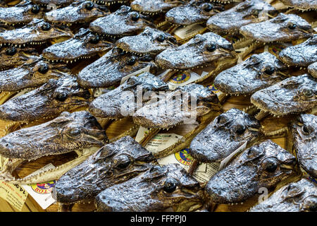 Florida South,Wildwood,arance,vendita,espositore,Indian River Fruit,shopping shopper shopping shopper negozi di mercato mercati di mercato di acquisto vendere,ret Foto Stock