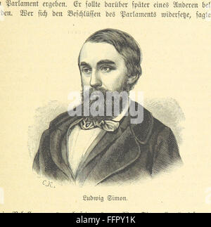 Questo libro copre la storia della rivoluzione tedesca del 1848 e del 1849, esaminando i movimenti politici, le rivolte e gli eventi chiave del periodo. È illustrato e fornisce un resoconto dettagliato dell'impatto della rivoluzione sul panorama politico tedesco. Foto Stock