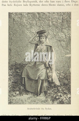 Questo libro d'epoca esplora l'Algeria e il Sahara, fornendo un resoconto dettagliato della geografia, della cultura e della storia della regione. Include piastre e mappe, che offrono descrizioni sia visive che testuali dell'area. Foto Stock