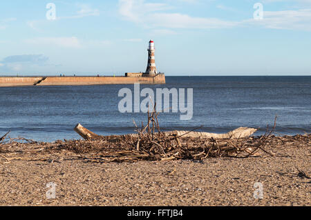 Driftwood su Roker beach con il South Pier in background, Sunderland North East England, Regno Unito Foto Stock