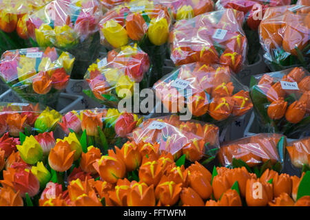 I tulipani in legno nel mercato dei fiori di Bloemenmarkt in Amsterdam, Paesi Bassi Foto Stock