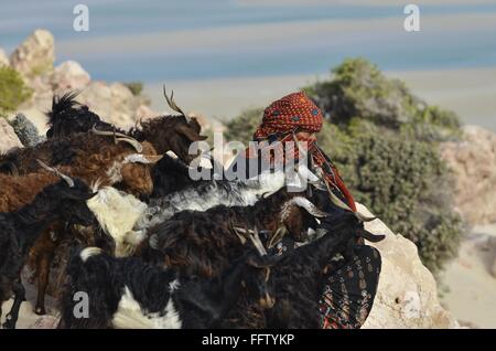 Una canzone d'amore di isola di Socotra "donne yemenite con combattimenti di acqueviti" - 16/06/2014 - Yemen - 12.Detwah Lagoon e Socotra, Ye Foto Stock