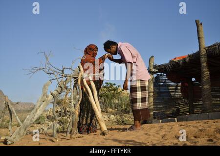 Una canzone d'amore di isola di Socotra "donne yemenite con combattimenti di acqueviti" - 24/05/2014 - Yemen - Laguna Detwah e Socotra, Yemen Foto Stock