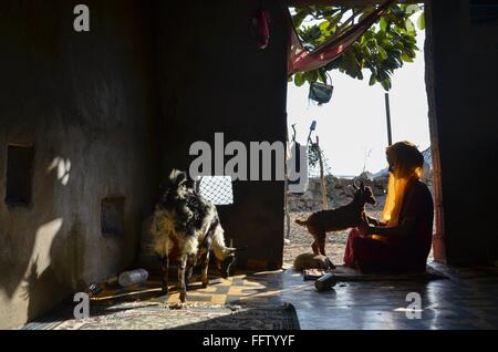 Una canzone d'amore di isola di Socotra "donne yemenite con combattimenti di acqueviti" - 07/05/2014 - Yemen - Laguna Detwah e Socotra, Yemen Foto Stock