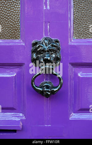 Verniciato di colore nero lion respingente sul viola porta anteriore Foto Stock
