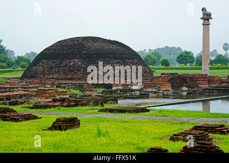 Pilastro di Ashoka , Kolhua , Vaishali , Bihar , India Foto Stock