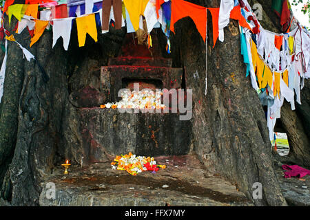 Gautama Buddha luogo di nascita in Lumbini , Nepal patrimonio mondiale Unesco Foto Stock