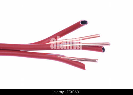 Stripped red filo elettrico o un cavo isolato su sfondo bianco Foto Stock