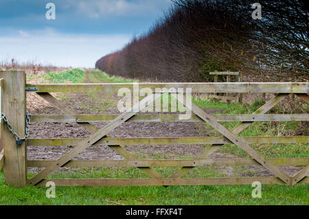 Il cancello di un fangoso sentiero di campagna Foto Stock
