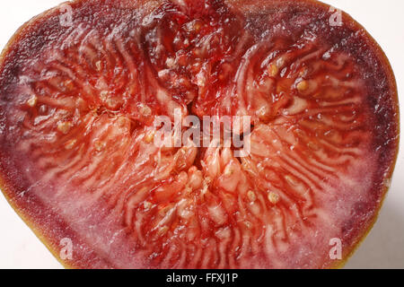 Frutta , Fig Ficus carica Anjir half cut con red succose texture su sfondo bianco Foto Stock
