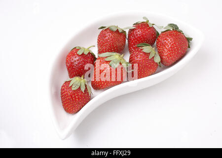 Frutta , Fragola Fragaria Ananassa mantenuto in s che serve a forma di vassoio su sfondo bianco Foto Stock