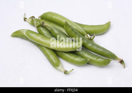 Vegetali, piselli verdi pod Pisum sativum su sfondo bianco Foto Stock