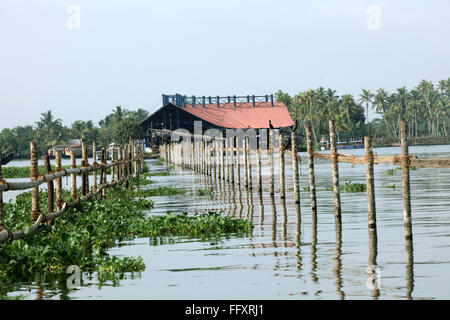 Punnamada lago ; Alleppey ; Alappuzha ; Kerala ; India Foto Stock